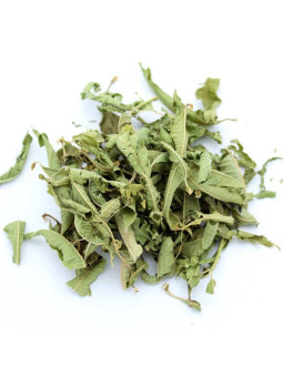 Verveine citronnelle pour tisane