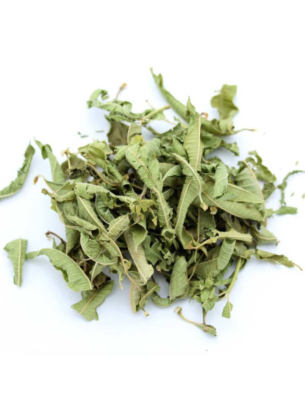 Verveine citronnelle pour tisane