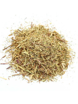 aurone mâle séchée (armoise citronnelle)