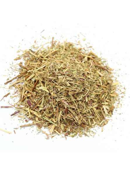 aurone mâle séchée (armoise citronnelle)