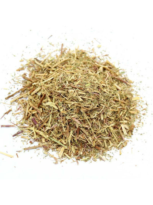 aurone mâle séchée (armoise citronnelle)