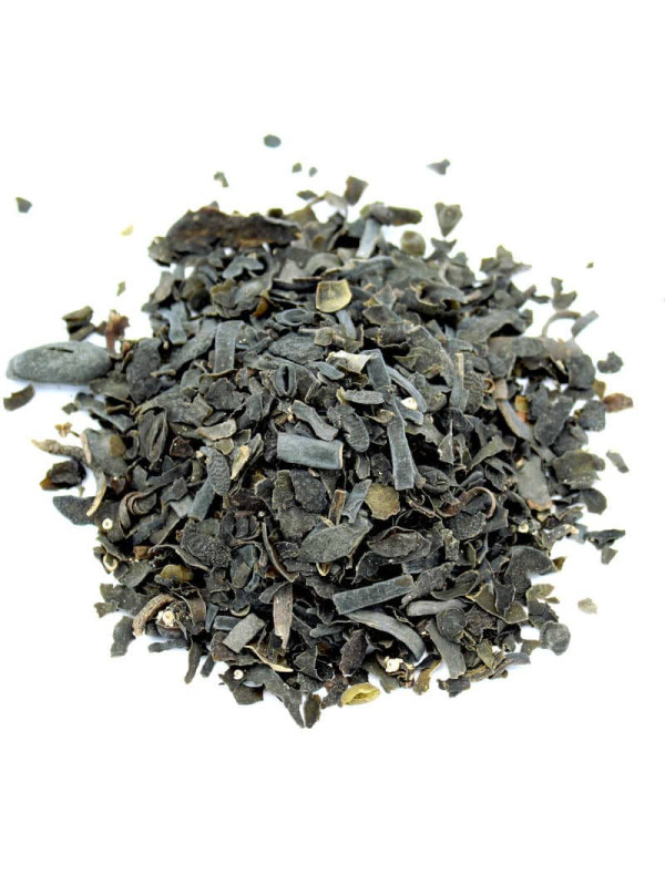 Algue fucus séchée