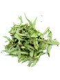 Feuilles de stevia rebaudiana séchées