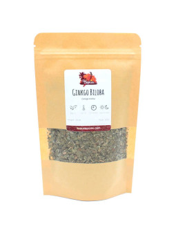 Sachet de Ginkgo biloba séché