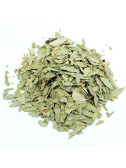 Feuilles de séné (sana mekhi) séchées