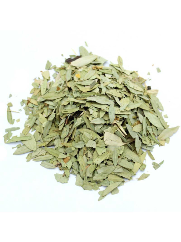 Feuilles de séné (sana mekhi) séchées