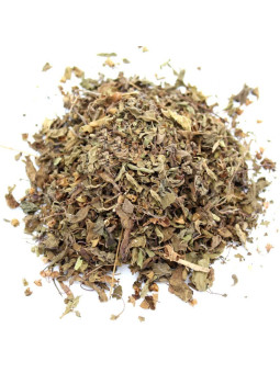 Tulsi indien herbe sacrée