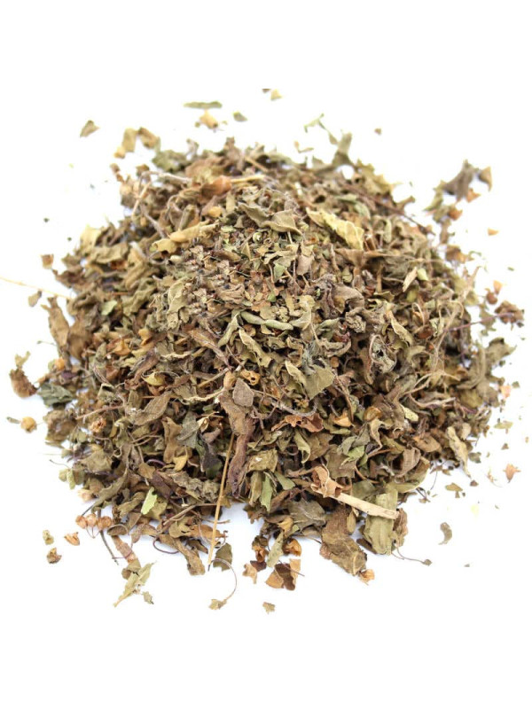 Tulsi indien herbe sacrée