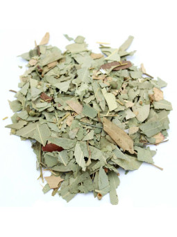 Feuilles d'eucalyptus séchées pour infusion