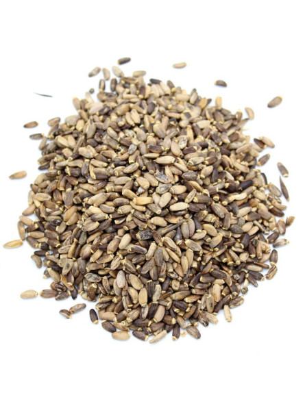 Graines de chardon marie