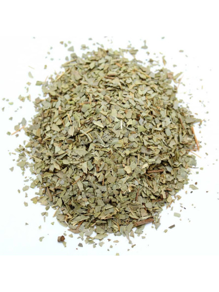 Feuilles de boldo séchées