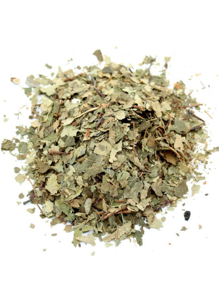 Feuilles de bouleau séchées pour tisane et infusion