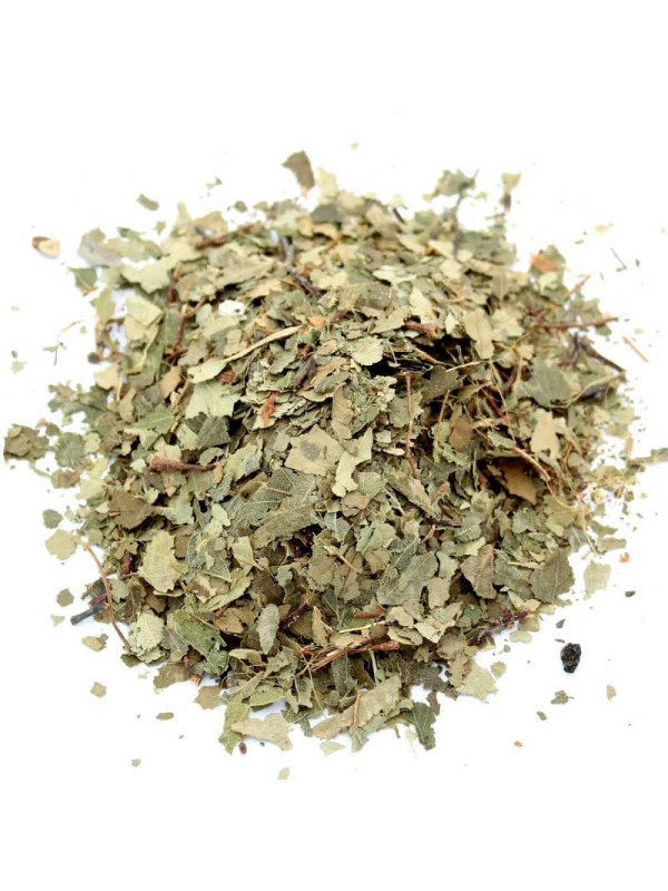 Feuilles de bouleau séchées pour tisane et infusion