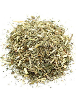 Absinthe plante séchée et coupée