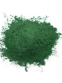Chlorella en poudre