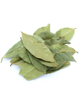 feuilles de laurier séchées