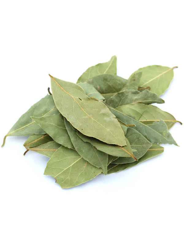 feuilles de laurier séchées
