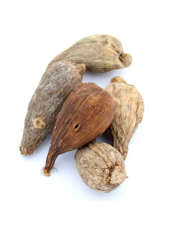 Kororima (gousses ou graines) - Achat, usage et recettes - Ile aux épices