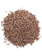 kororima graines