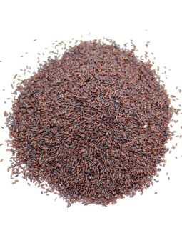 Plantain psyllium