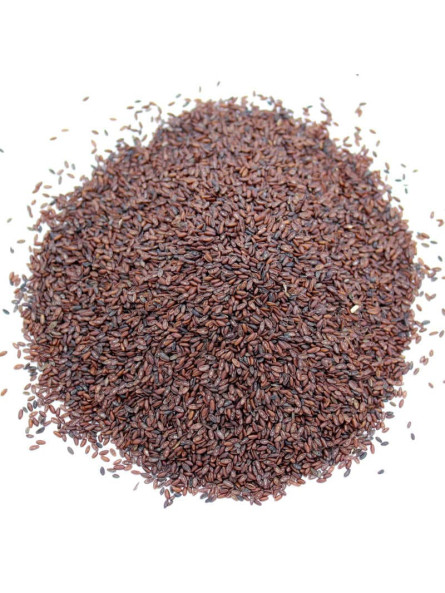 Plantain psyllium