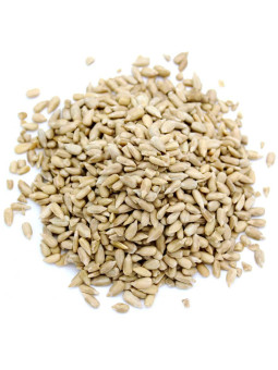 Graines de tournesol bio