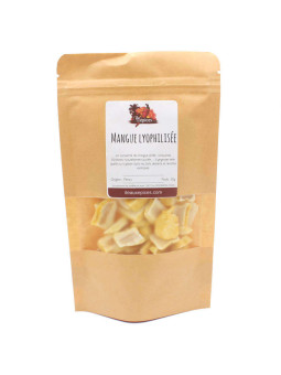 sachet de Mangue lyophilisée