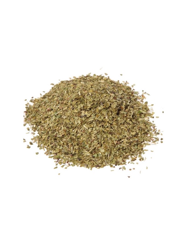 yerba Mate vert
