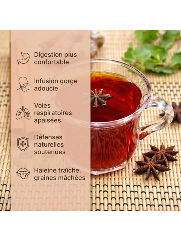 bienfaits badiane
