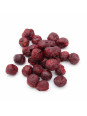 Cerises griottes lyophilisées entières