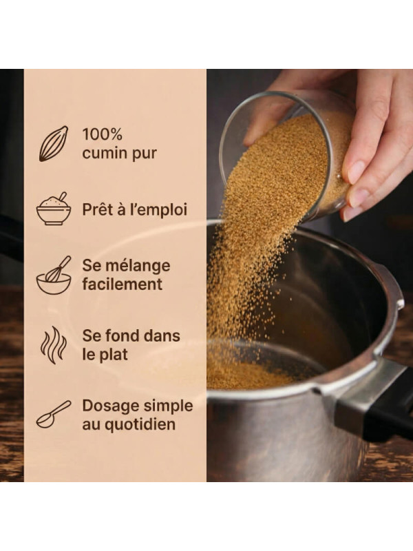 caractéristiques cumin poudre