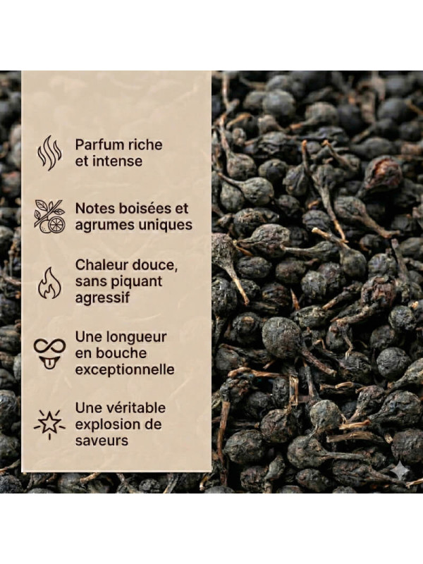 parfum poivre sauvage