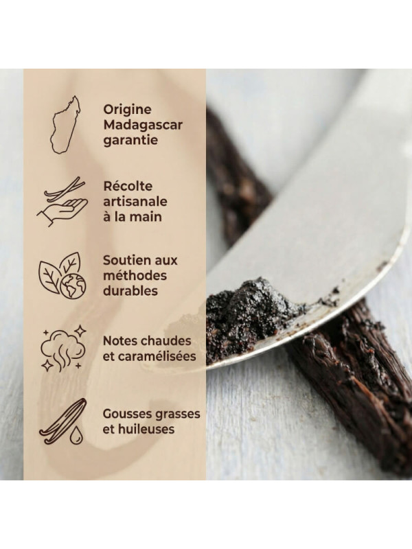 Caractéristiques gousses de vanille de madagascar