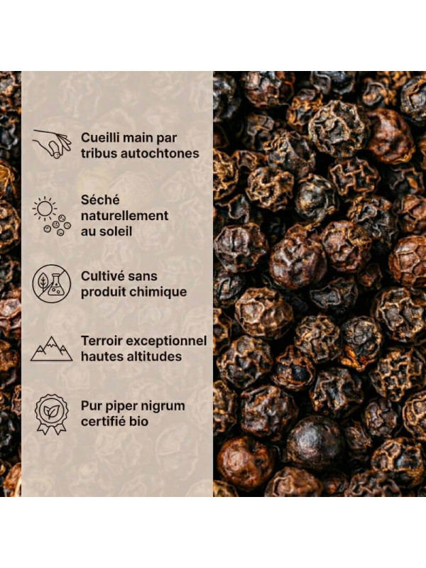 Caractéristiques Poivre de Malabar MG1 BIO