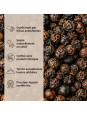 Caractéristiques Poivre de Malabar MG1 BIO