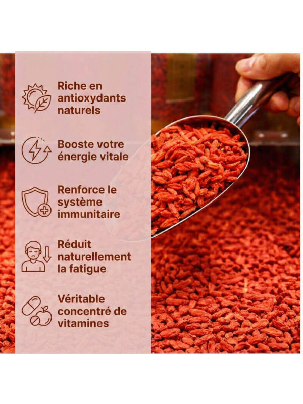 bienfaits baies de goji