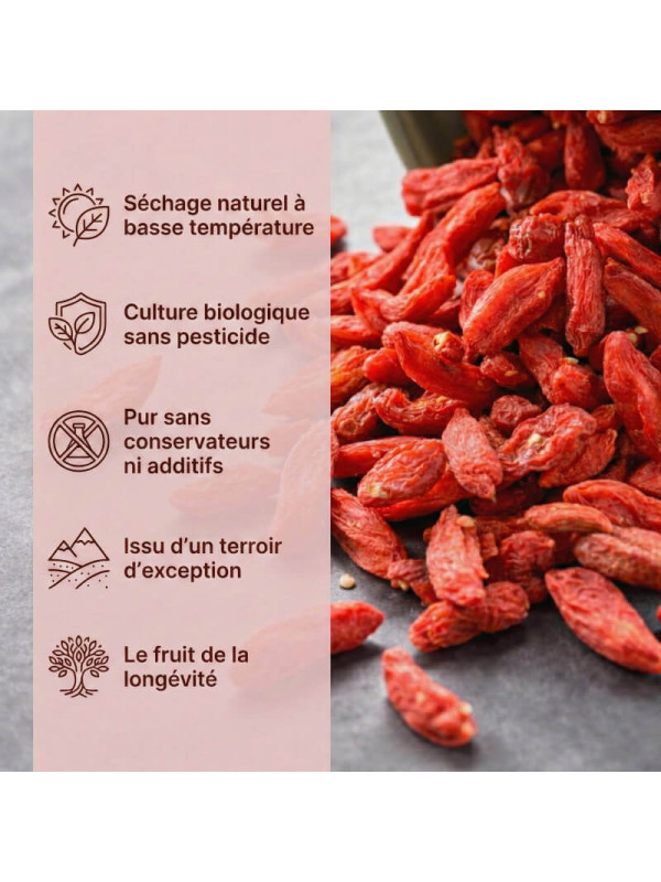 caractéristiques baies de goji bio
