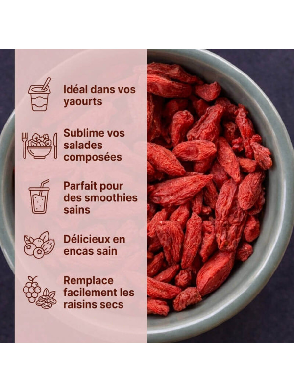 usages baies de goji bio