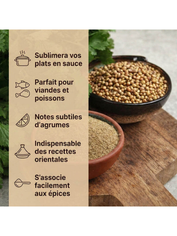 utilisations coriandre