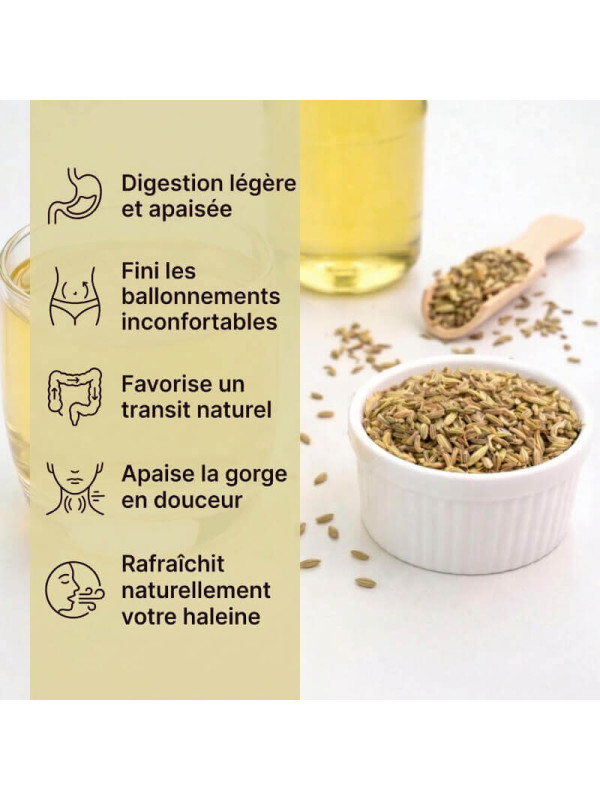 bienfaits des graines de fenouil