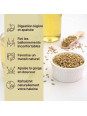 bienfaits des graines de fenouil