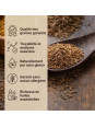 excellence de nos graines de cumin