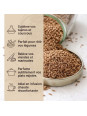 usage du cumin en graines