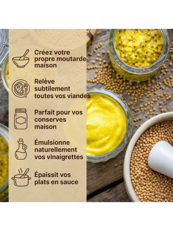 usages de nos graines de moutarde