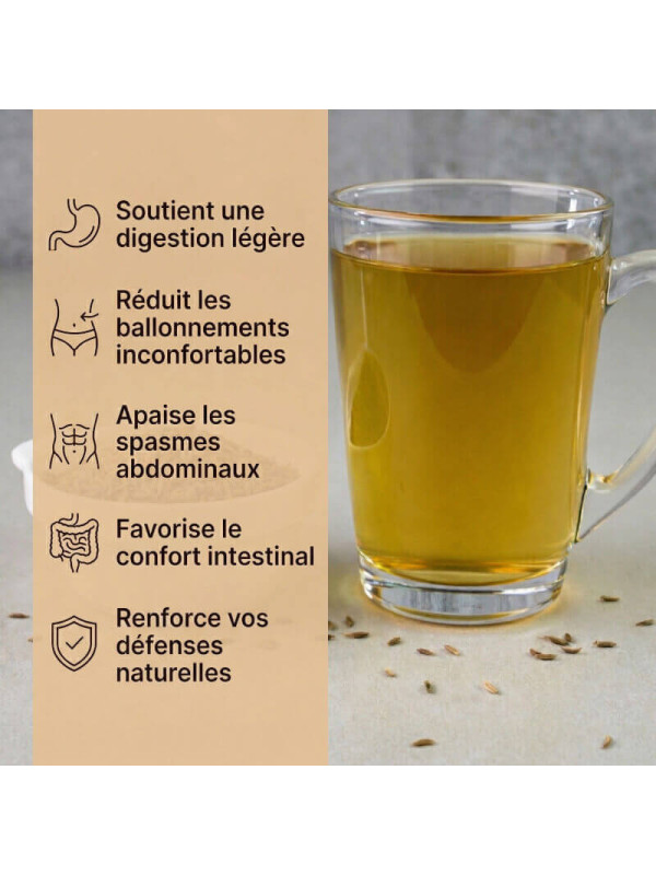 bienfaits du carvi