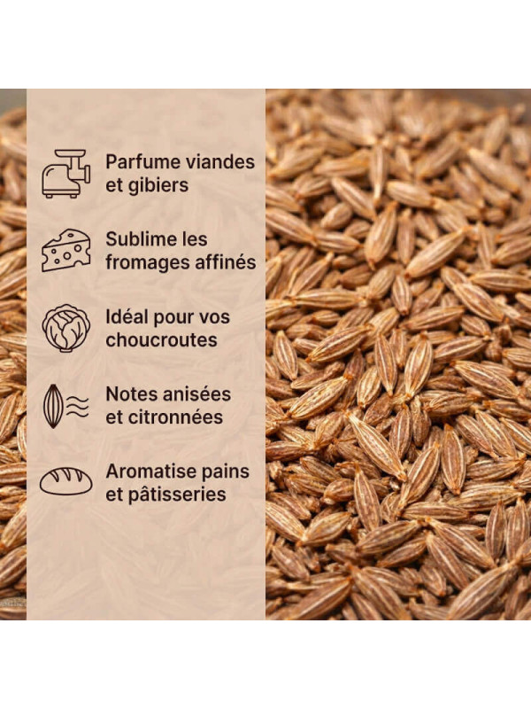 usage du carvi