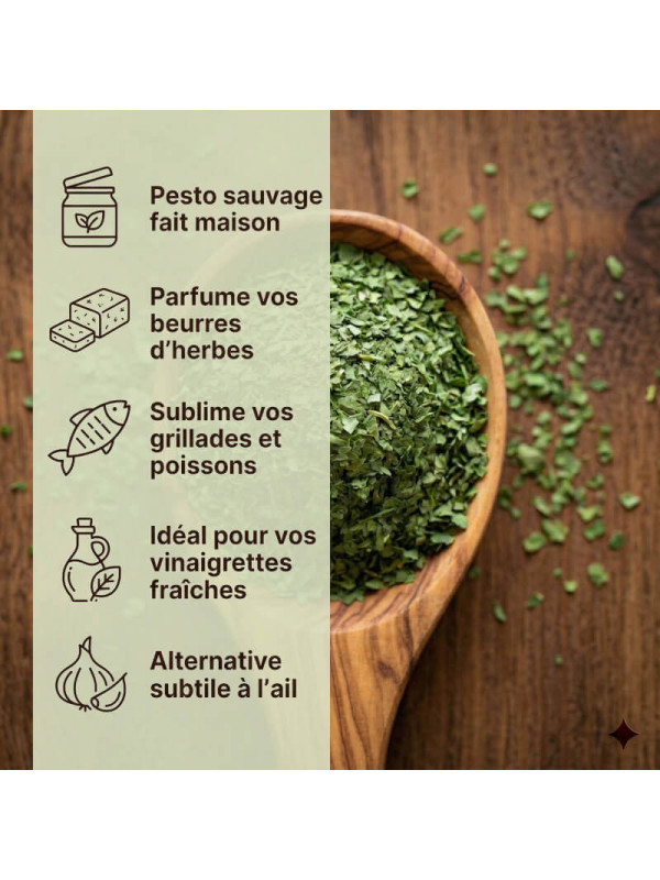 usage de l'ail des ours