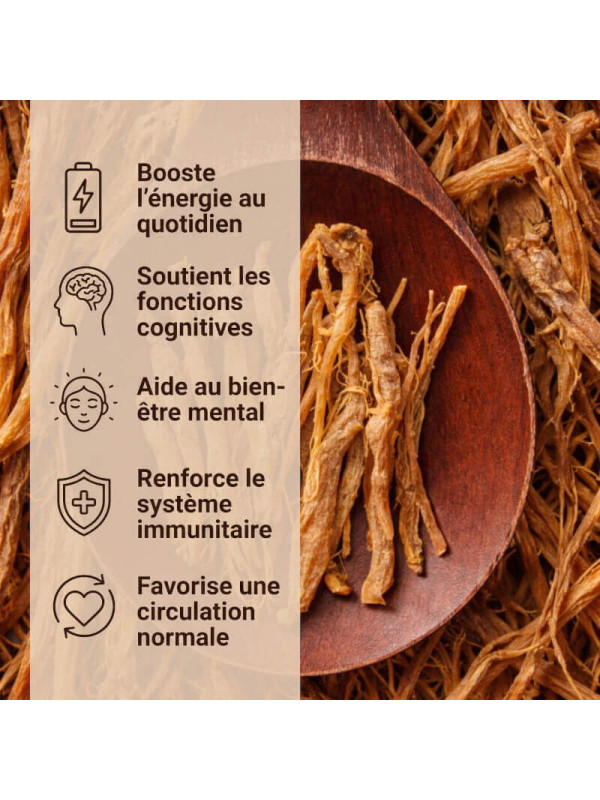 bienfaits du ginseng pour la santé
