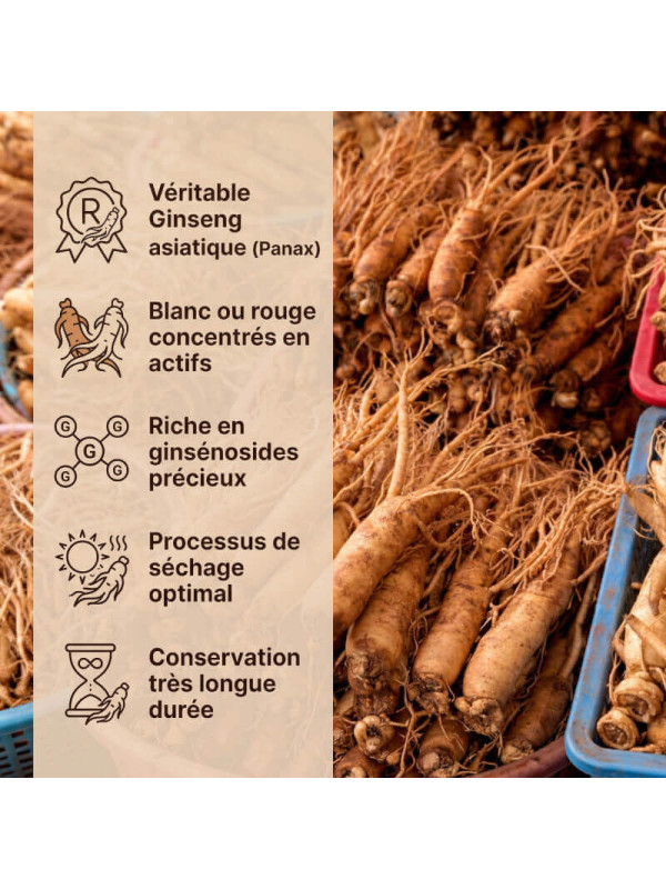 qualité de notre ginseng