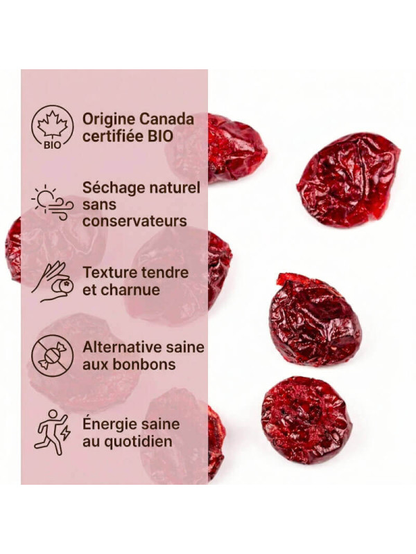 qualité de notre cranberry séchée